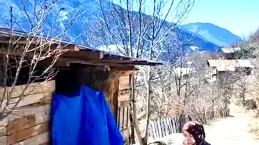 Kurtarma ekibi kediyi alırken