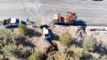Nakledilen ağaçların yeni konumu