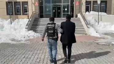 Valizden çıkan skunk paketleri