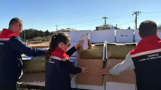 Tekirdağ’da 2 Ton Aflatoksinli Antep Fıstığı Ele Geçirildi: Baklava Üretimine Tehdit