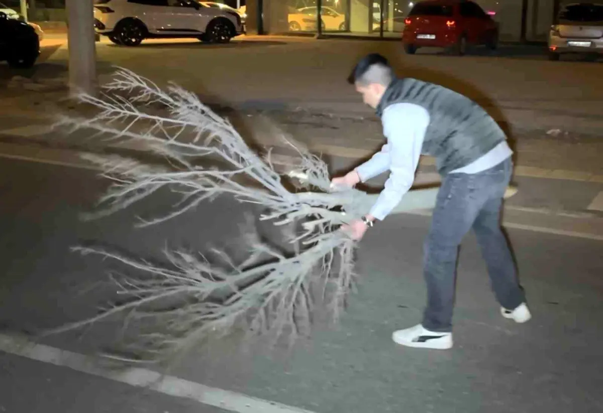 Aksaray’da Şiddetli Trafik Kazası: Sürücü Ağır Yaralı