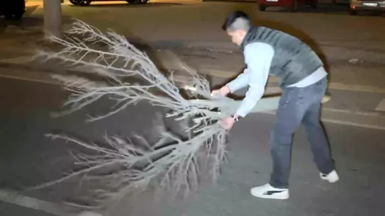 Kaza sonrası cam ve plastik parçaları