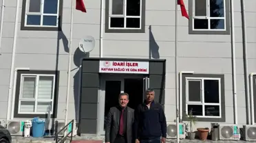 Ayçiçeği tohumu paketleri