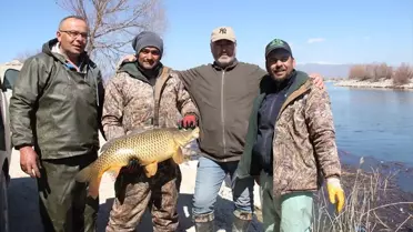 Avlanma sonrası elde edilen taze balıklar