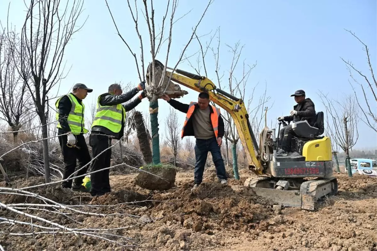 Çin’in Yeşil Hedefi: Orman ve Çayır Alanları 2025’te 3,56 Milyon Hektara Ulaşacak