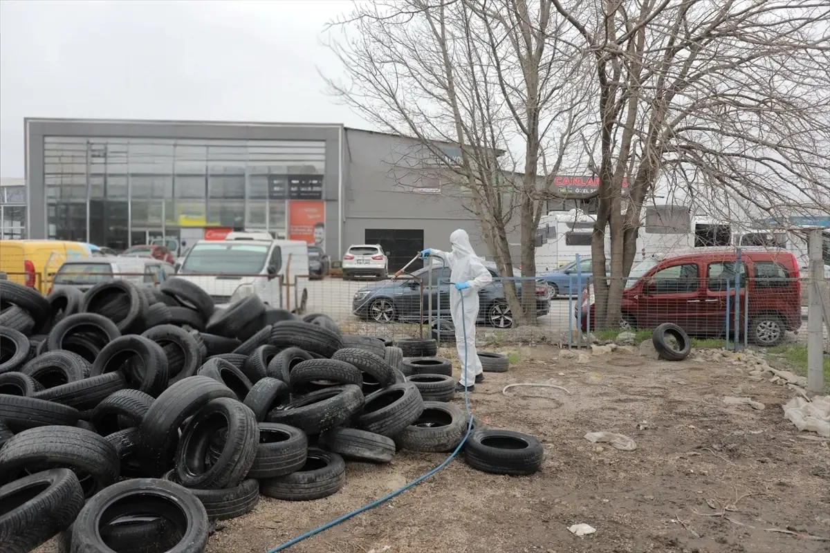 Edirne Belediyesi'nden Vektör Kontrolü: Böcek ve Sineklerle Mücadelede Yeni Adımlar