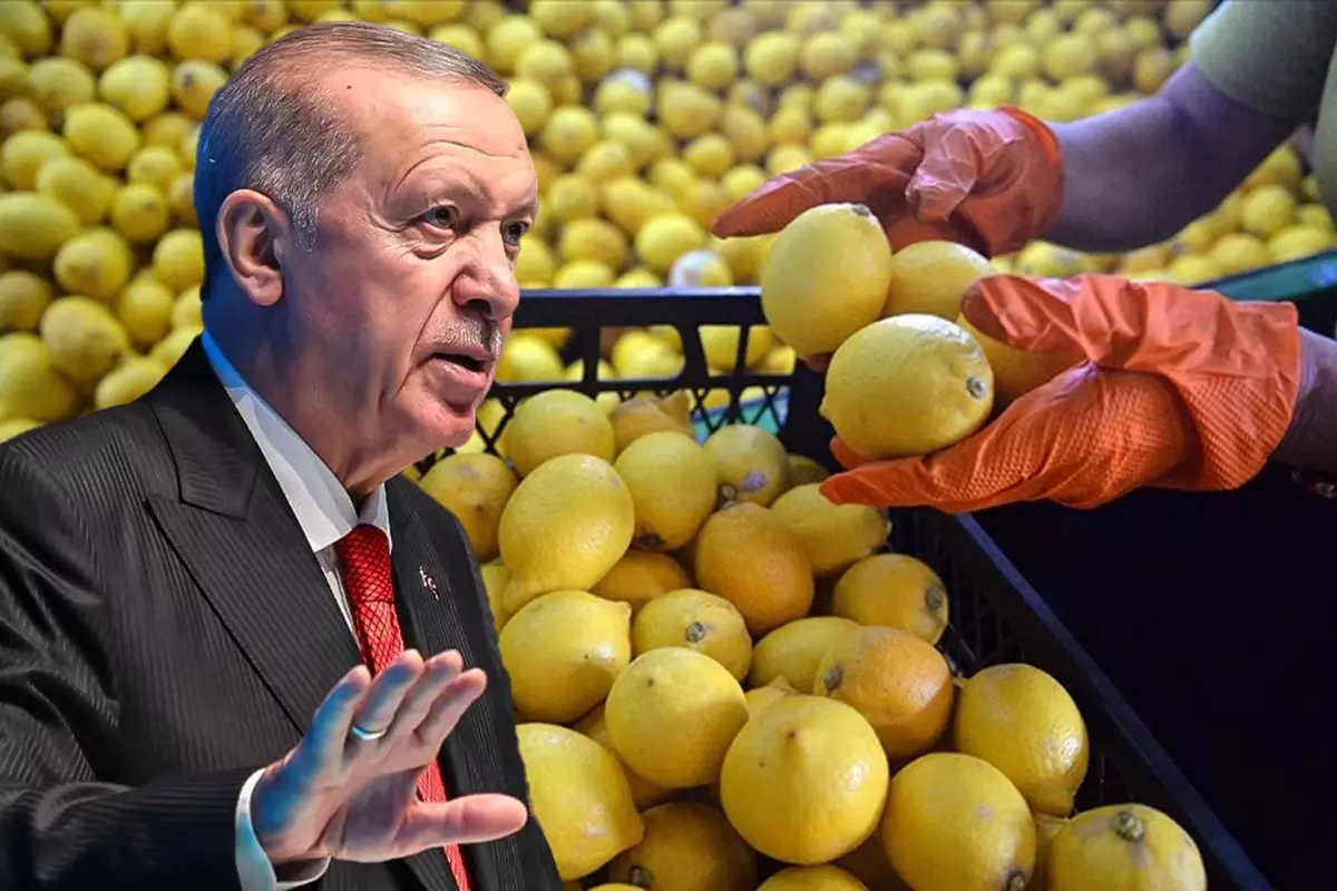 Limon İthalatına Yönelik Gümrük Vergisi %10’a Düşürüldü