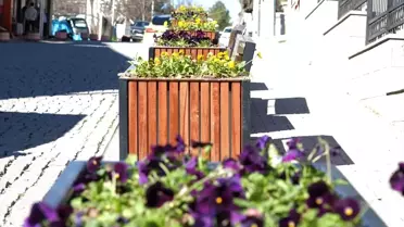 Güdül'de yeni ekilen çiçekler