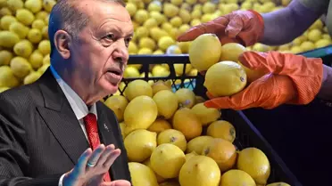 Limon ithalatında yeni vergi oranı
