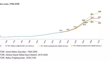 Yaşlı nüfus artışını gösteren istatistiksel tablo