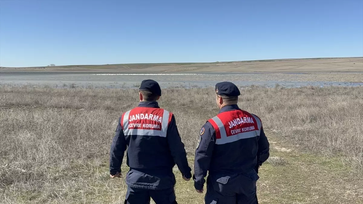 Yozgat Jandarması Flamingoları Korumak İçin 24 Saat Devriye Görevinde