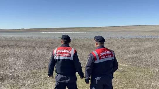 Jandarma devriye aracının flamingoları gözetlemesi