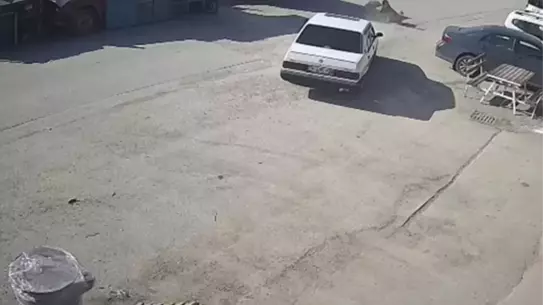 Köpeğin otomobilin altında kalmış anı