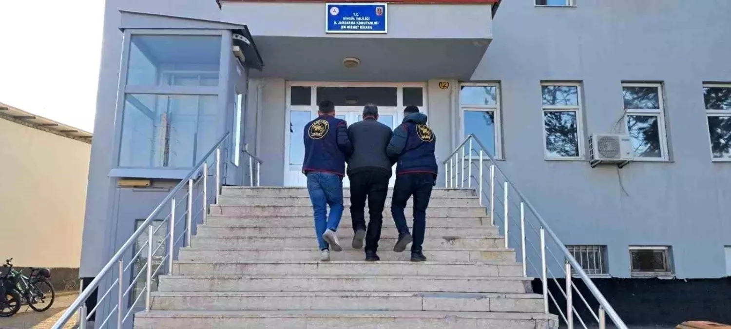 Bingöl'de Jandarma 13 Kesinleşmiş Hapis Cezalı Şüpheliyi Bir Haftada Yakalandı