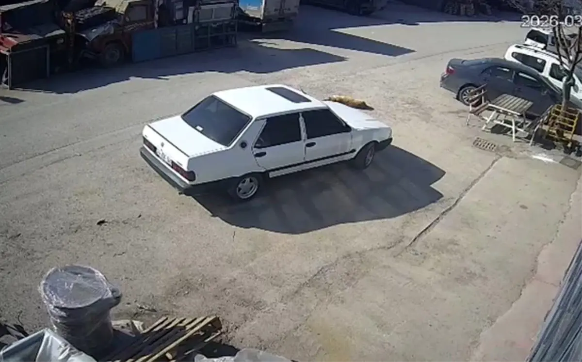 Bolu’da Sürücü, Yolda Yatan Köpeğin Üzerinden Geçtiği İçin Jandarma Tarafından Gözaltına Alındı