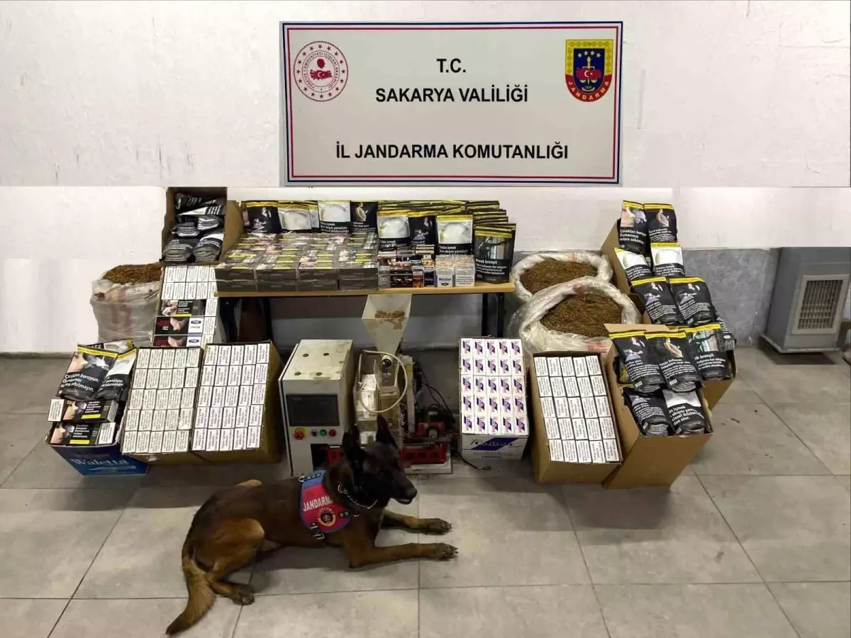 Sakarya’da Jandarma’dan Kaçak Tütün ve Makaron Operasyonu