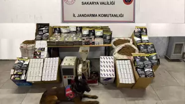 Sakarya’da Jandarma’dan Kaçak Tütün ve Makaron Operasyonu