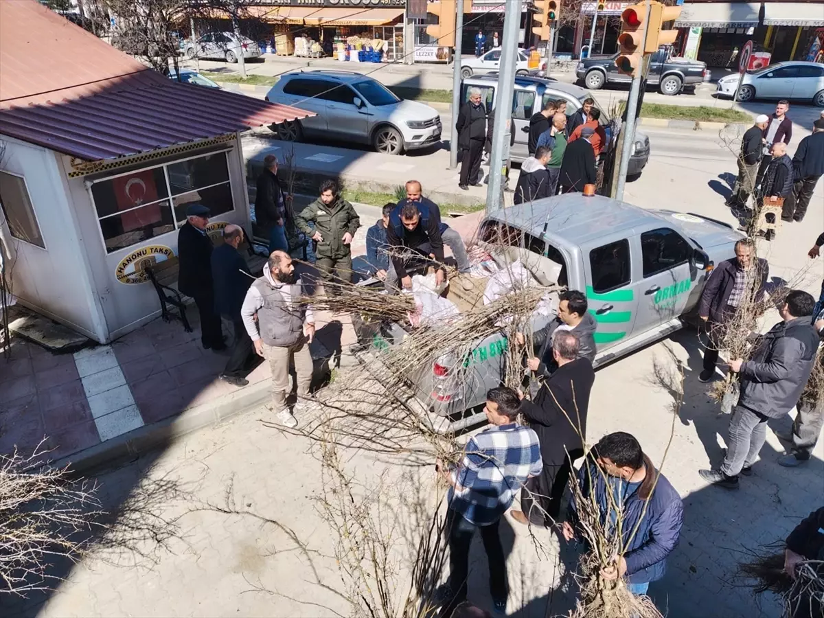 Hanönü’de 2 Bin Fidanla Yeşil Bir Adım Atıldı