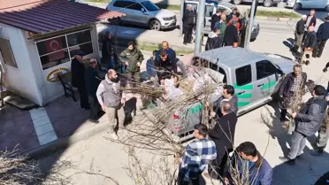 Dağıtımda verilen fidanlar