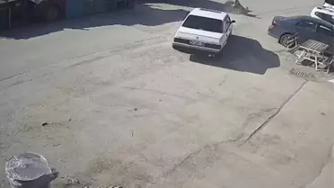 Köpeğin üzerinden geçen araç