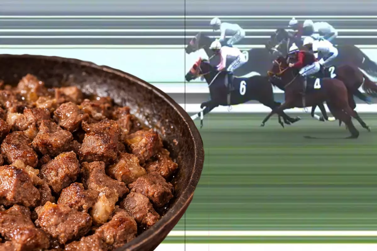 Yarış Atının Sahibi Skandalı Açıklıyor: Hayır Çabası Kötüye Gitti