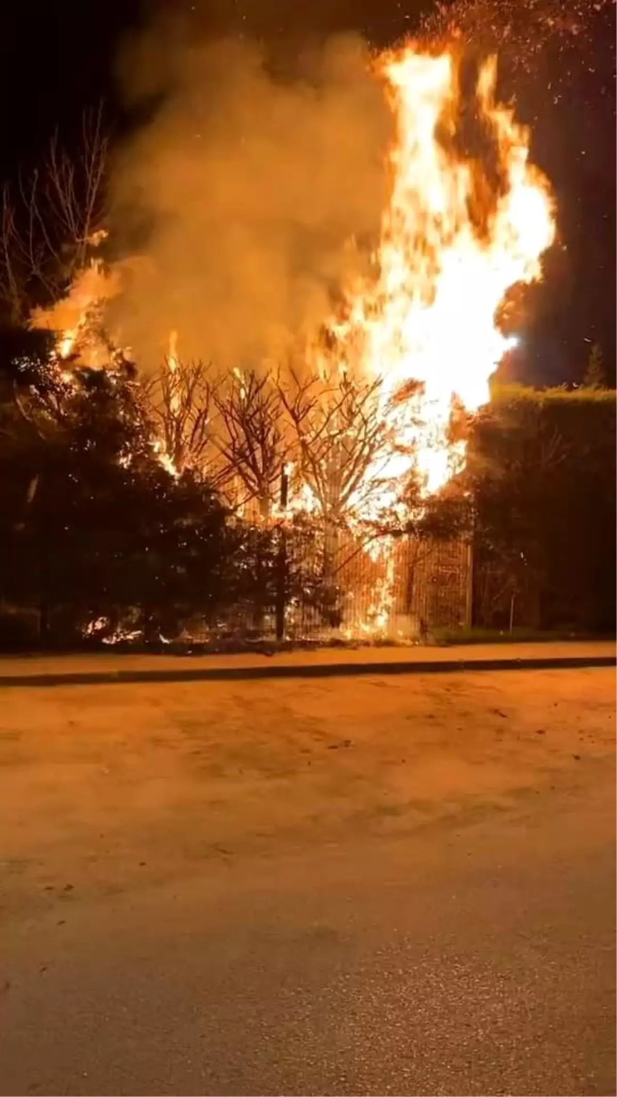 İnegöl Botanik Park’ta Çıkan Yangın Kısa Sürede Kontrol Altına Alındı