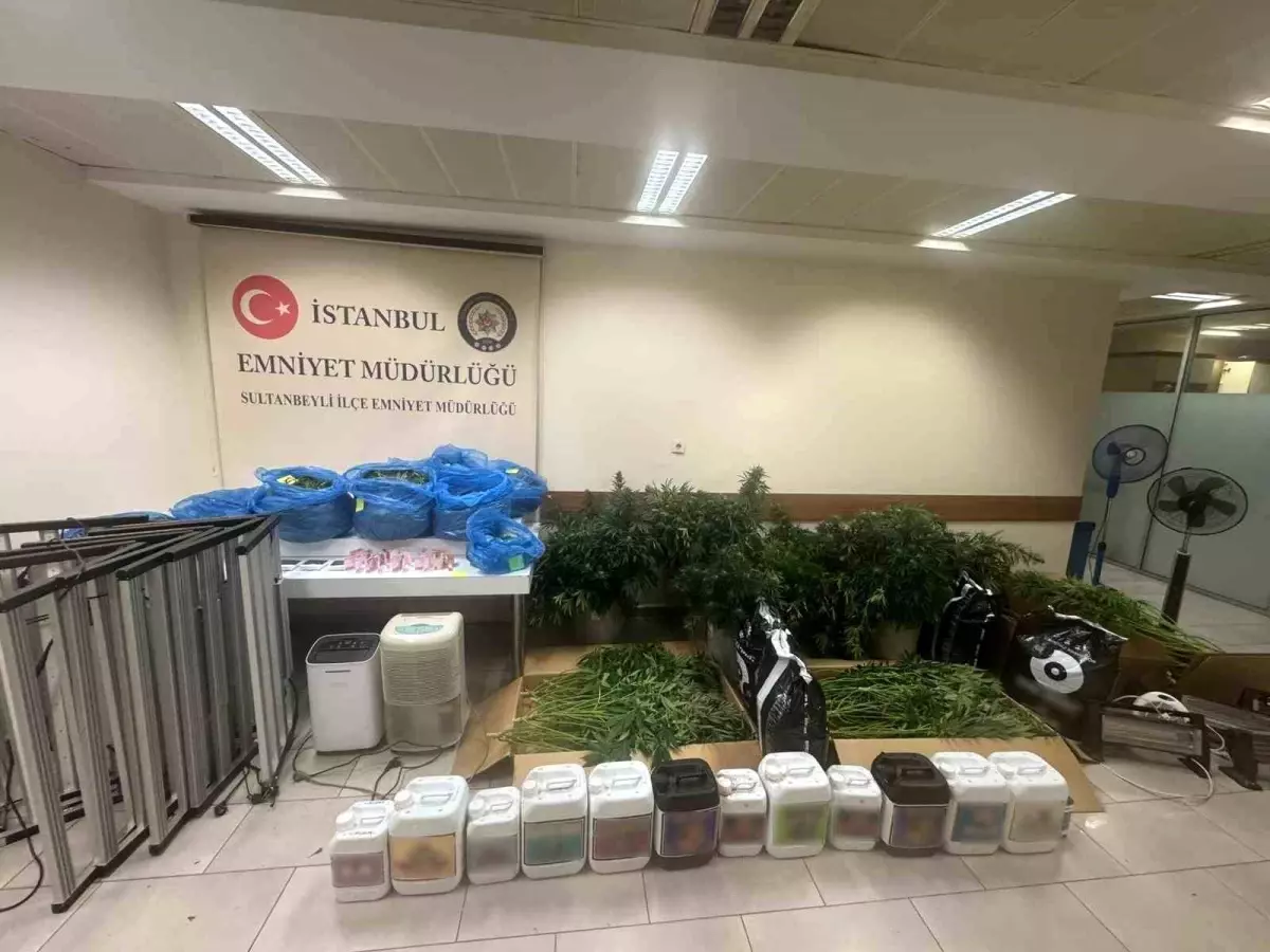 Sultanbeyli'de 21 Kilo Kenevir Ele Geçirildi: Polis Operasyonu Detayları