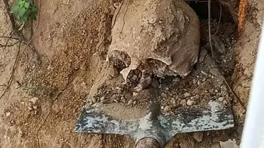 Kazı sırasında ortaya çıkan kemik kalıntıları