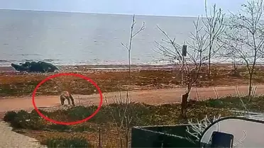 Kaçış anındaki polis memurları