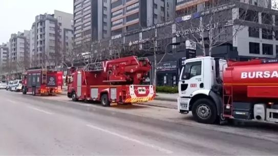 Yangın sonrası hasar gören pizza şubesi