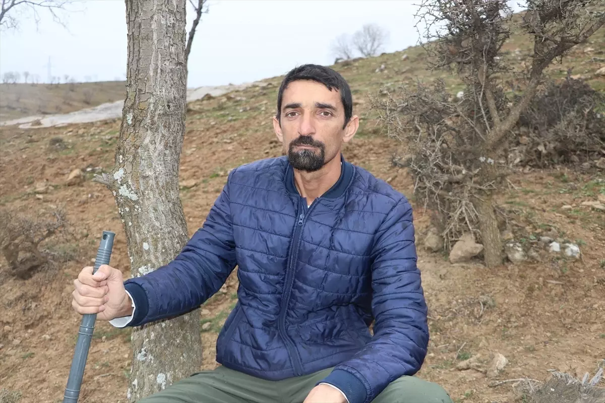 Batman’da İlk Nevruz Çiçekleri Görüldü: Doğa Yeniden Canlanıyor