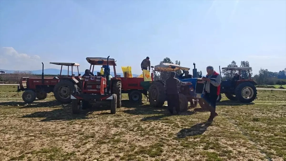 Kozan’da 913 Dekar Merada Gübreleme: Verimlilikte Yeni Dönem