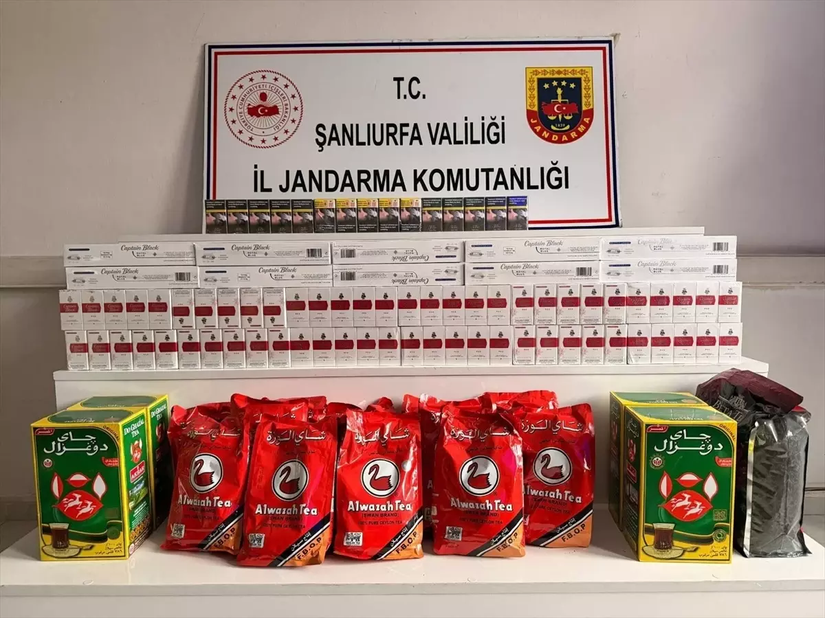 Şanlıurfa Viranşehir'de 29 Kişiye Yönelik Kaçakçılık Operasyonu Sonuçlandı