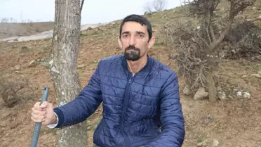 Batman’da İlk Nevruz Çiçekleri Görüldü: Doğa Yeniden Canlanıyor