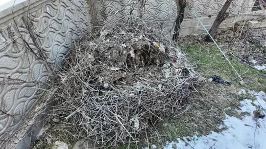 Yeni inşa edilen leylek yuvası