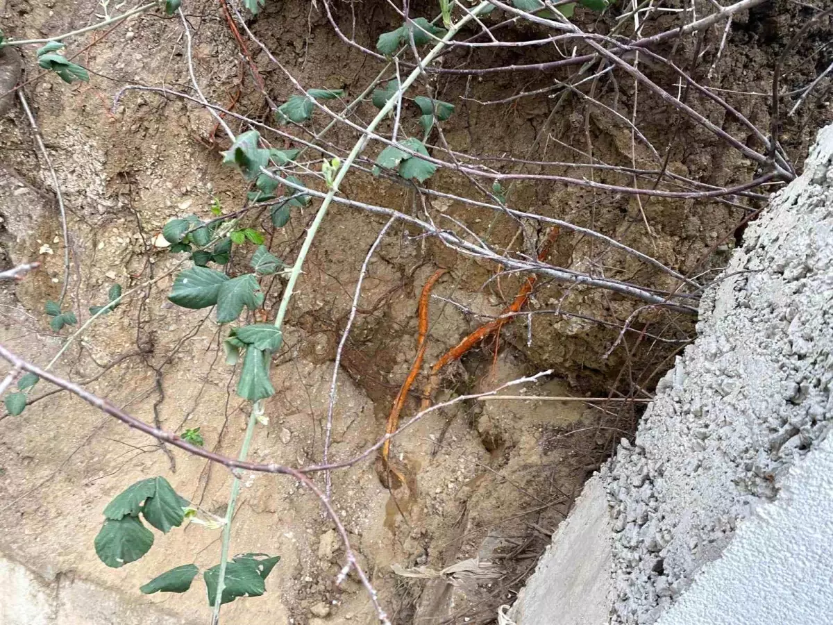 Kocaeli'de Bahçede Bulunan İnsan Kafatası Şaşkınlık Yarattı