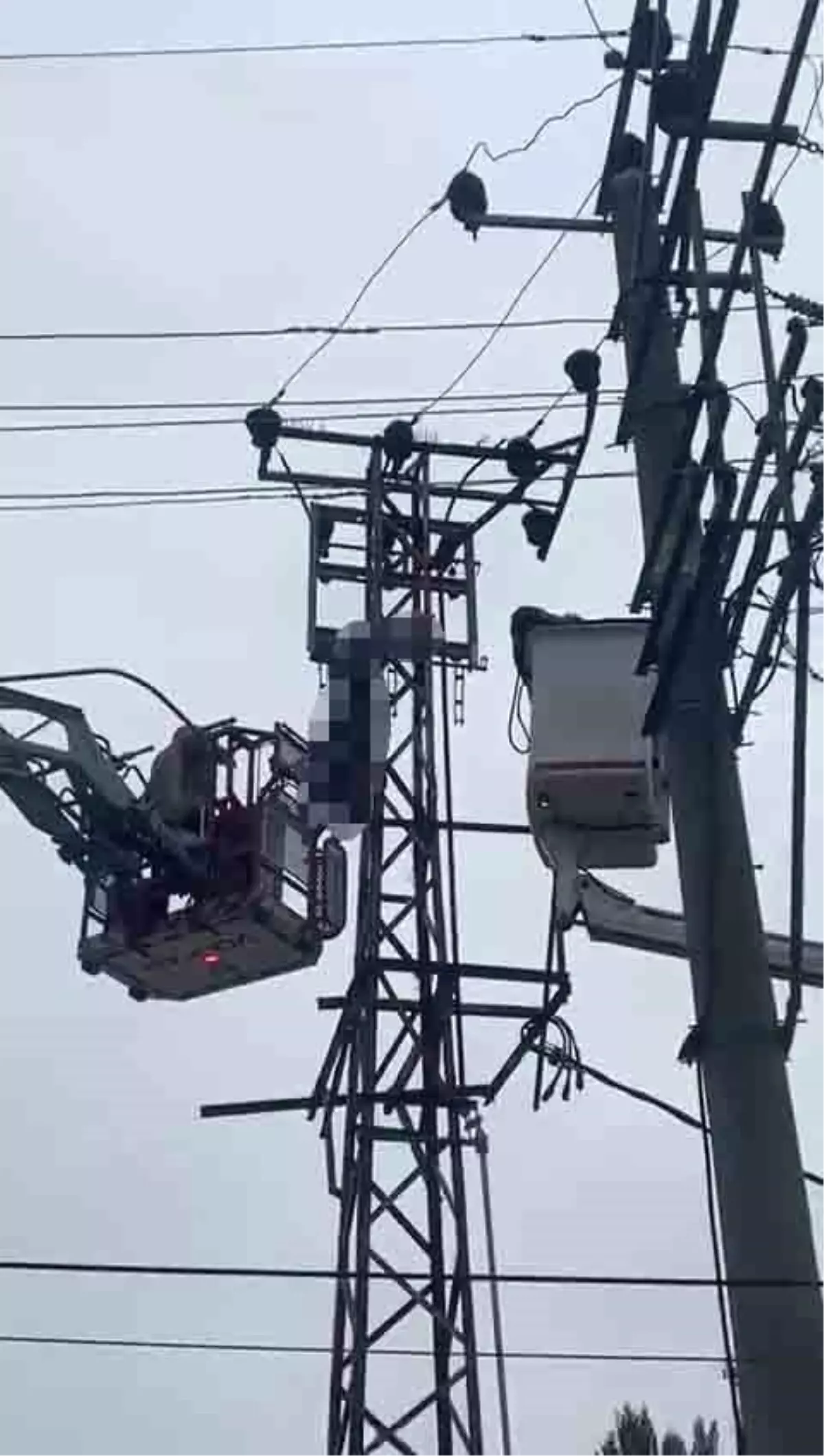 Bursa’da Elektrik Direğine Çıkan Hırsız Akıma Çarparak Hayatını Kaybetti