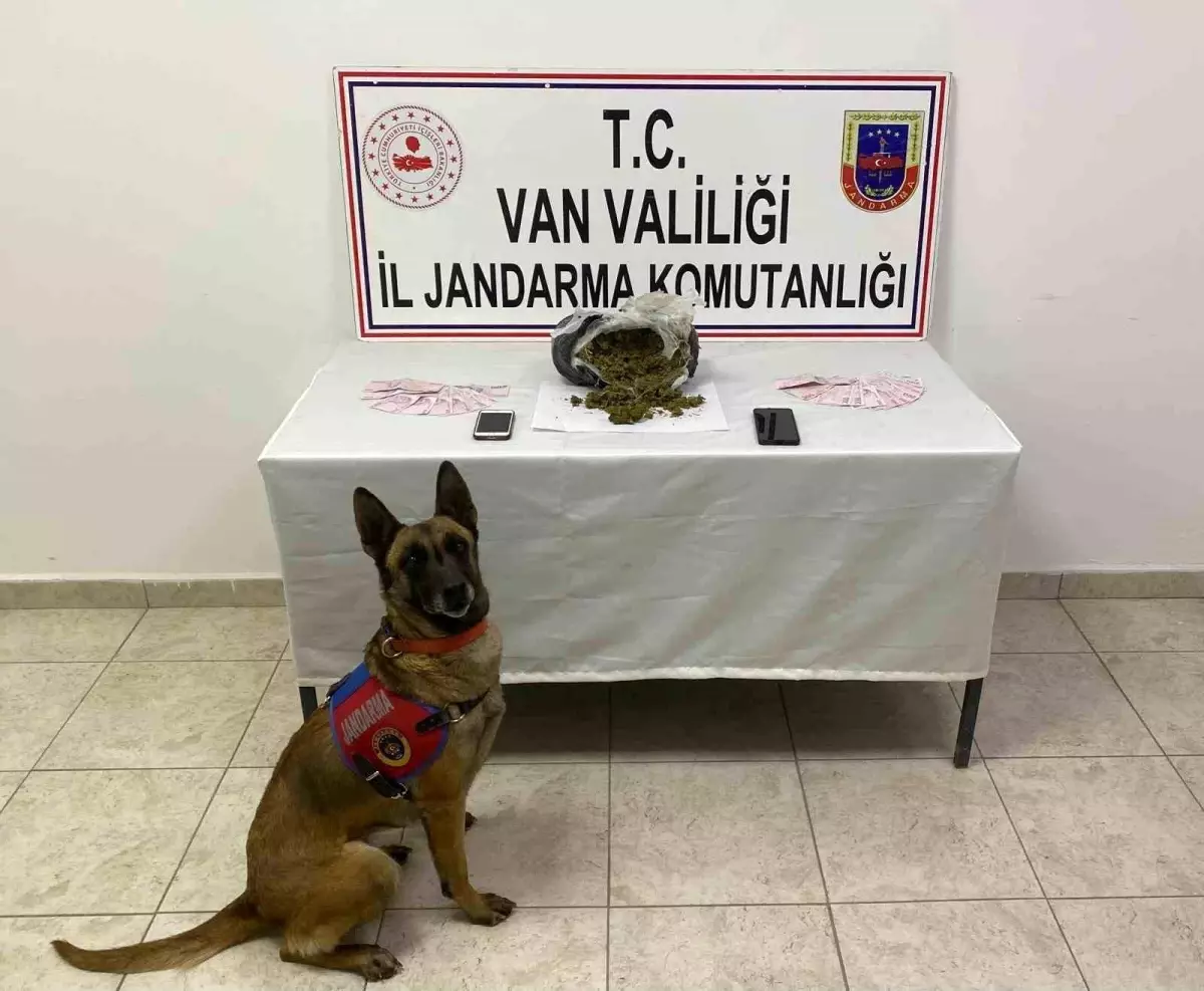 Van’da Jandarma 1,64 kg Skunk Madde Ele Geçirdi