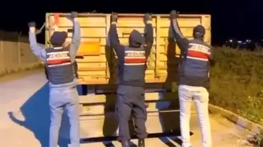 Adana’da 4 Milyon Bandrolsüz Makaron Ele Geçirildi, Tek Şahıs Tutuklandı