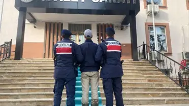 Bilecik’te 17 Yaşındaki Genç, Köpeklere Ateş Edip Sahibini Yaraladı