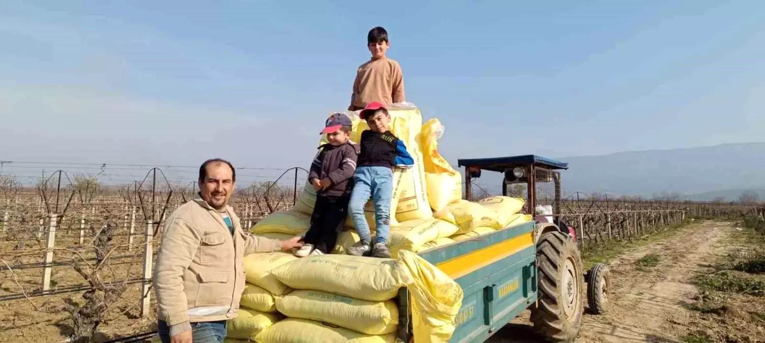 Sarıgöl'ün Üzüm Bağlarında Kış Gübresi Çalışmaları Başladı