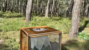 Marmaris’te kurulan tel kafesler ve biyolojik kontrol ekipmanları