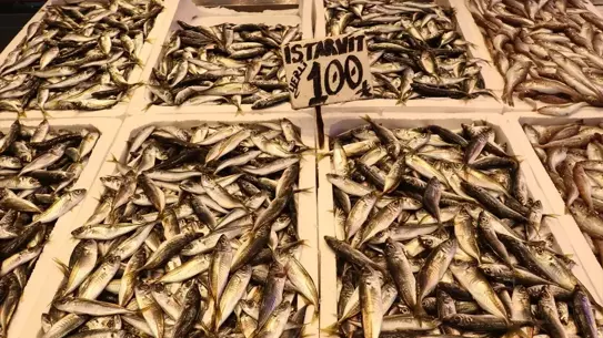 Trabzon limanında balık satışı