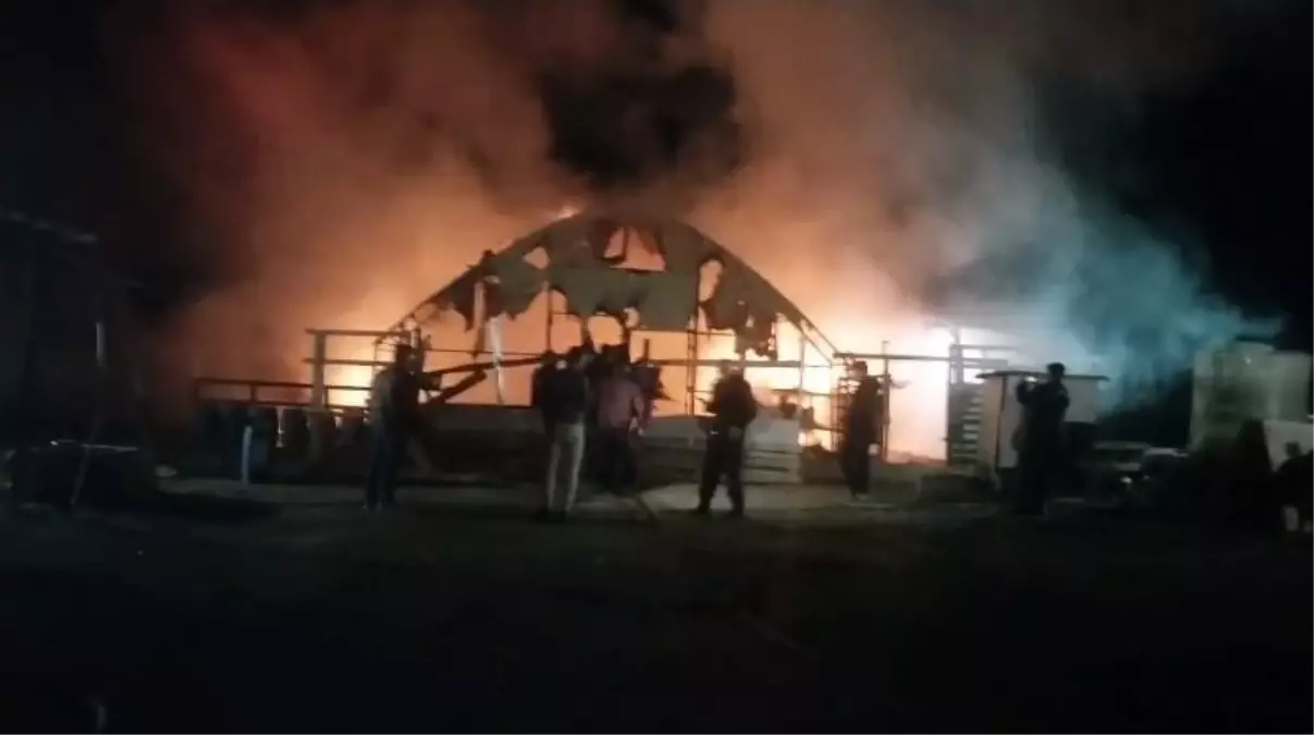 İnegöl'de Çiftlik Yangını: 580 Hayvan Hayatını Kaybetti, Yüzlercesi Kurtarıldı