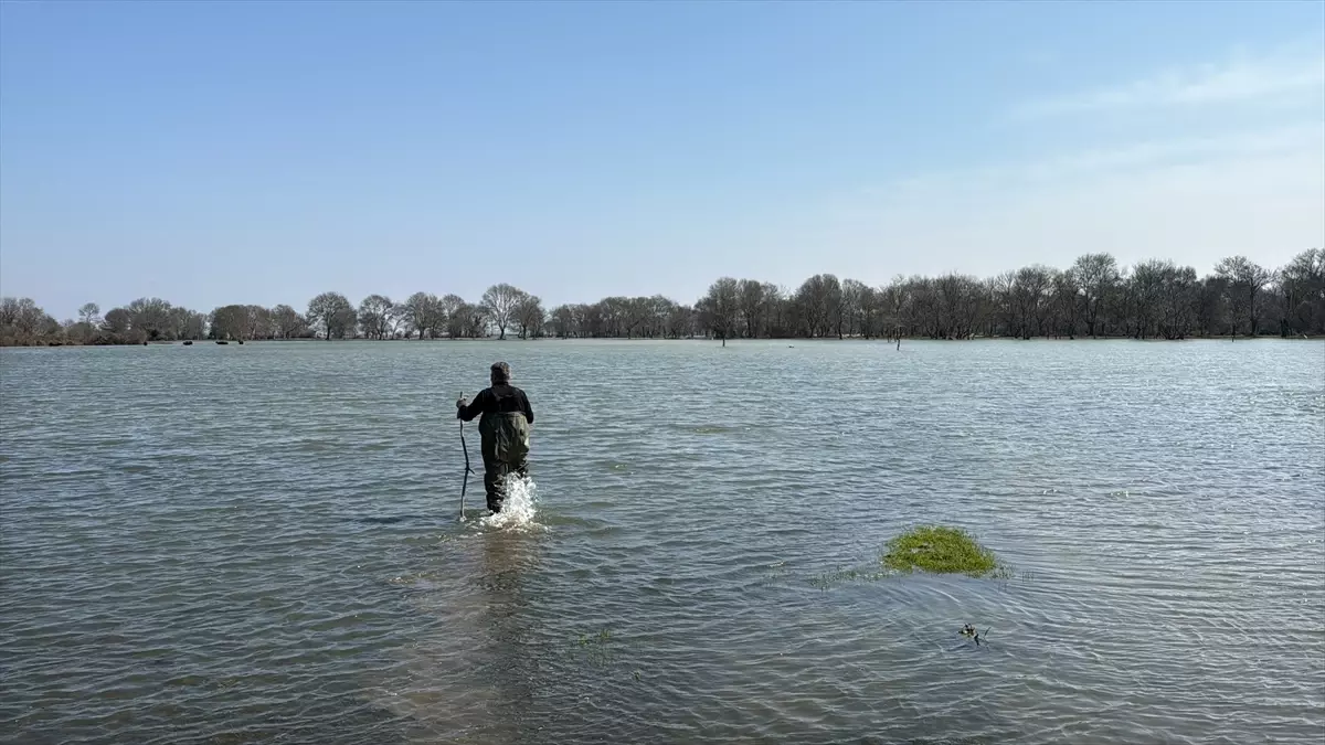 Samsun Alaçam’da Belgelendirilmiş Tıbbi Sülük Avcılığına Yeni Bakış