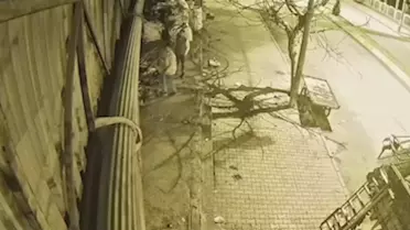 Operasyon sonrası tutuklanan şüpheliler