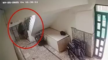 Düşme anının tasvir edildiği görsel