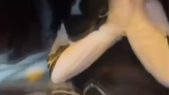 Olay yerinden fotoğraf