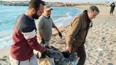 Kuşadası'nda Trol Ağlarına Takılan 3 Deniz Kaplumbağası Hayatı Kaybetti