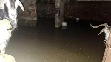 Bingöl Genç’te Sel Felaketi: 12 Keçi Kurtarıldı